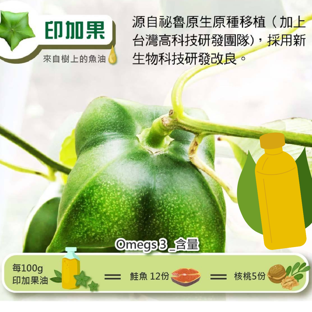 印加果油(常溫)