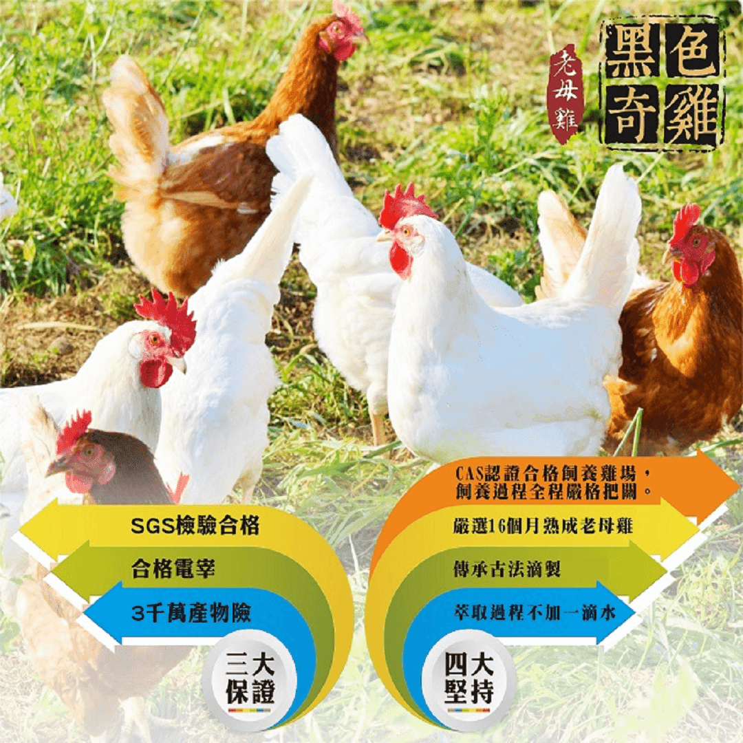 【黑色奇雞】經典雙囍滴雞精(烏骨雞+老母雞)-30包環保優惠組